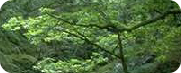 wp8377611a.png